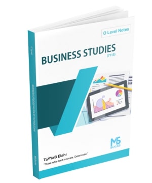 O Level Business Studies Notes by Tayyab Elahi
